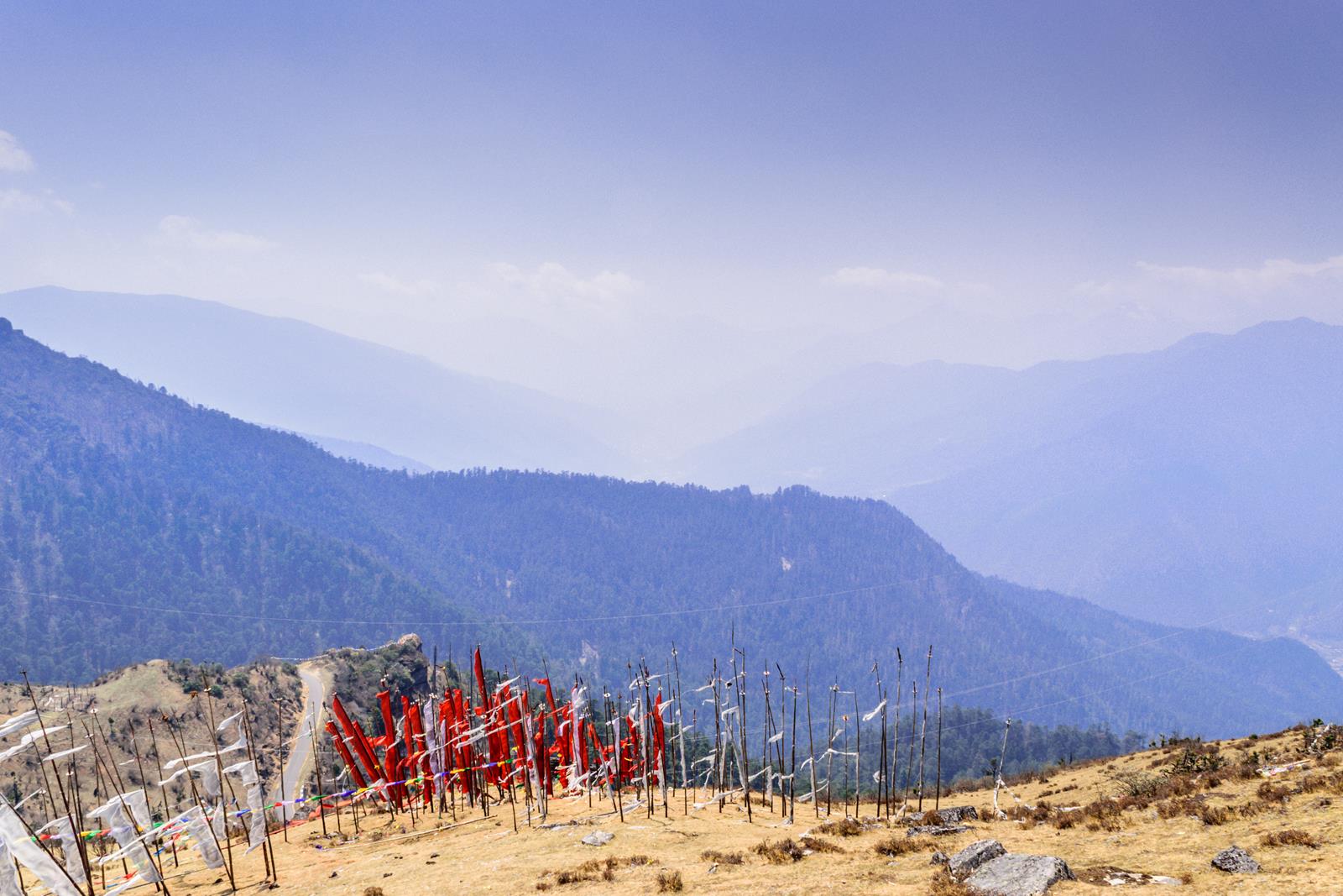 PCD-10025-PCD-10025-5.jpg Image